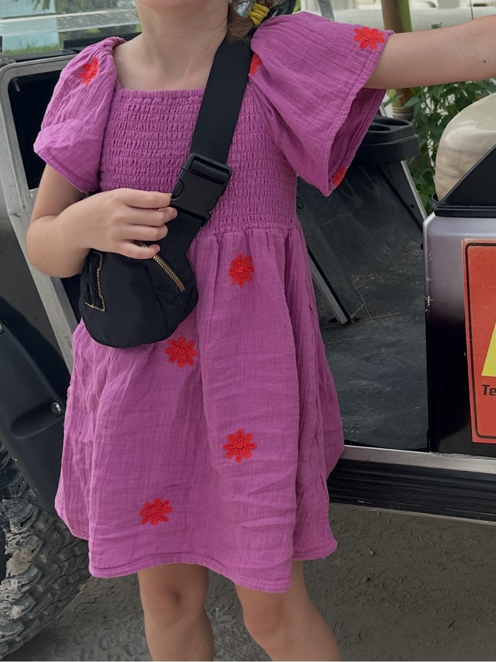 Cat & Jack Purple Dress with Red Floral Embroidery